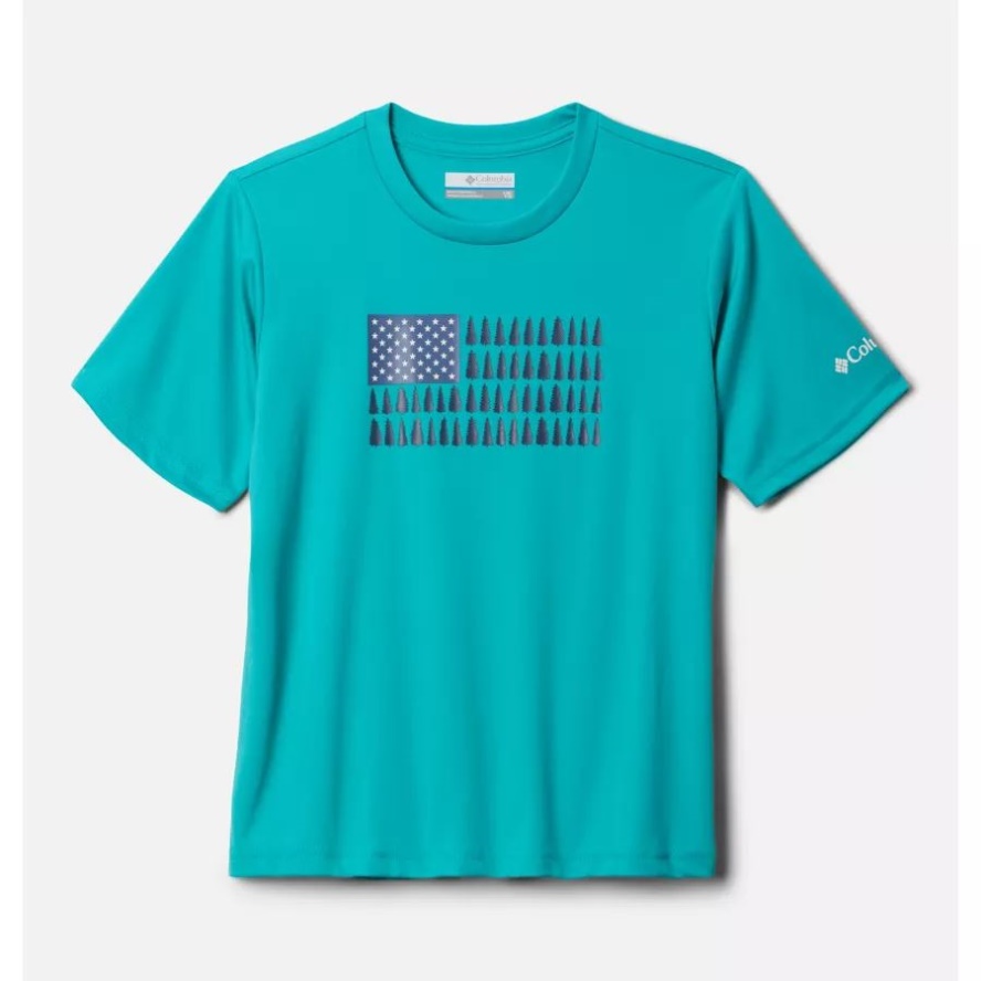 Boys' Grizzly Ridge Short Sleeve Graphic T-Shirt Bright Aqua/Patriotic Pines Graphic Columbia Sale
