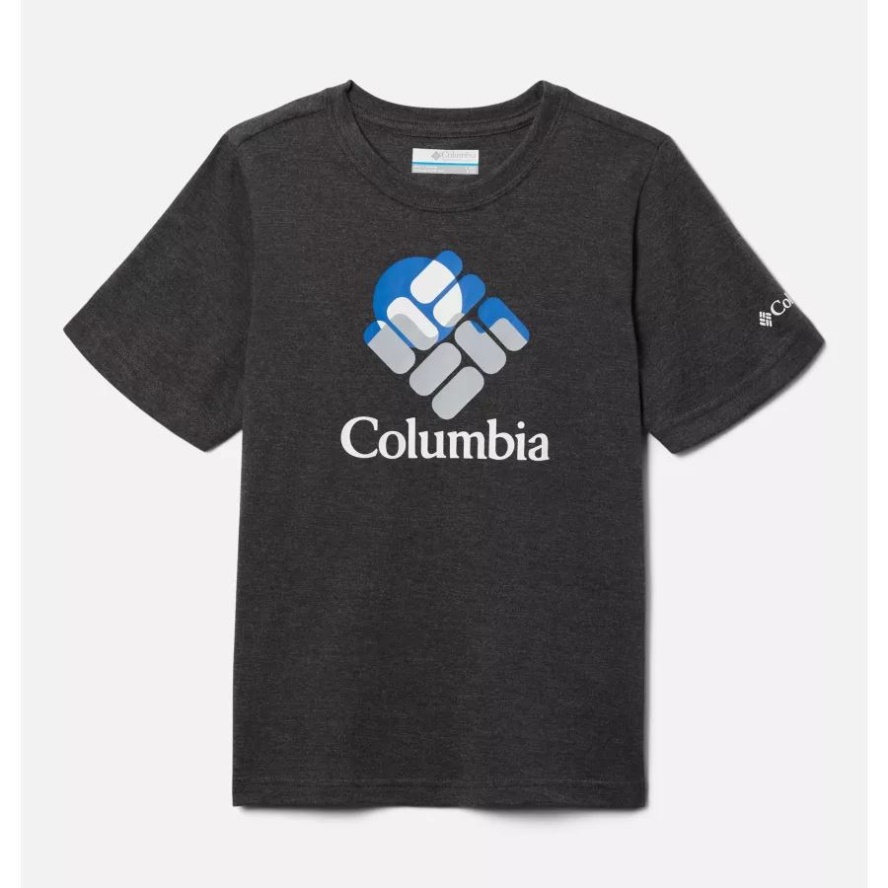 Boys' Valley Creek Short Sleeve Graphic T-Shirt Shark Hthr/Gemscape Graphic Columbia Sale