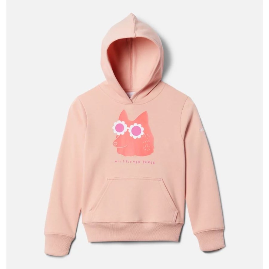 Columbia Sale Kids' Basin Park Graphic Hoodie Faux Pink Foxy Shades