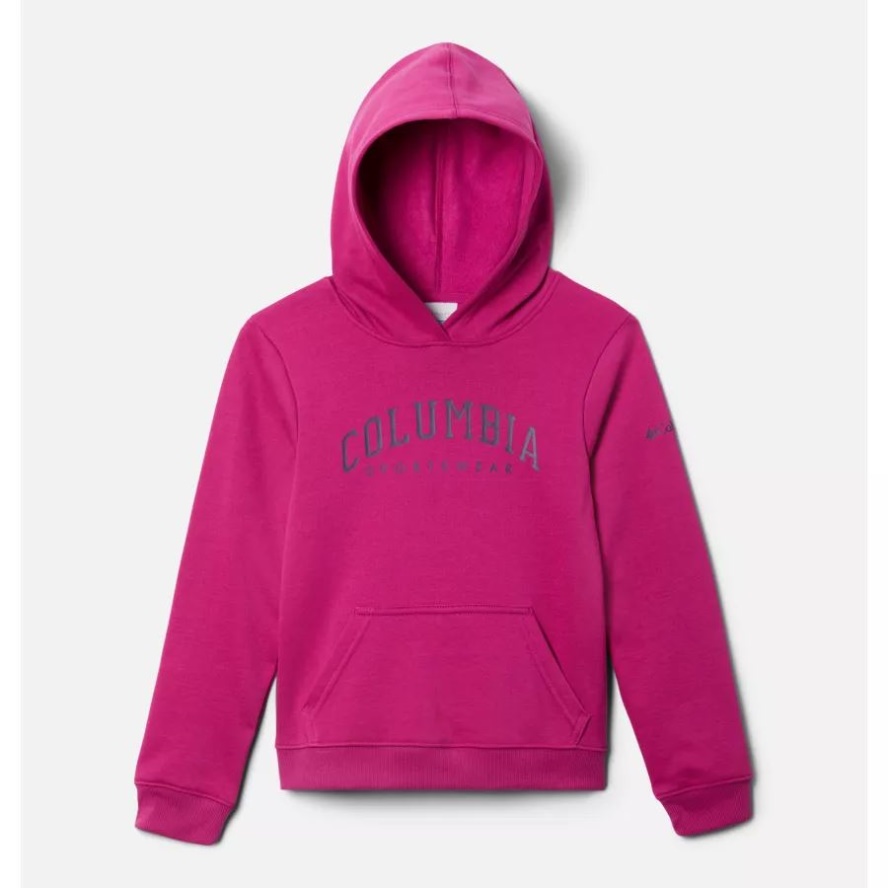 Columbia Sale Wild Fuchsia Kids' Columbia Sale Trek Pullover Hoodie