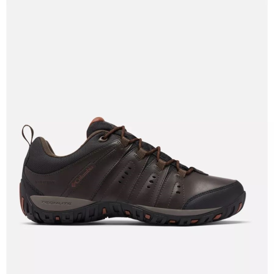 Cordovan/Cinnamon Columbia Sale Men's Woodburn II Waterproof Shoe