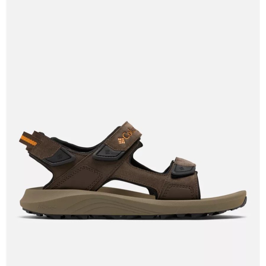 Cordovan/Gold Amber Men's Trailstorm Hiker 3 Strap Sandal Columbia Sale