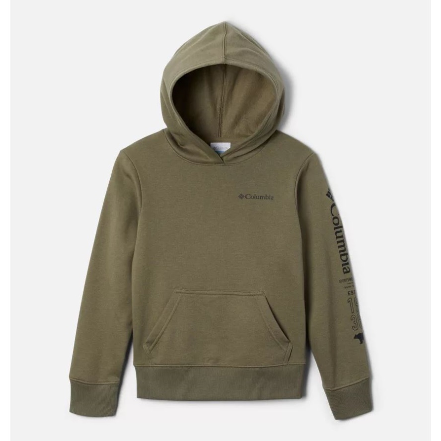 Kids' Basin Park Graphic Hoodie Columbia Sale Stone Green
